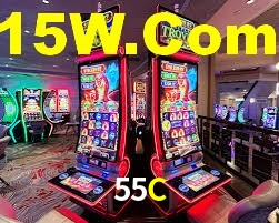Premium Interface 55C